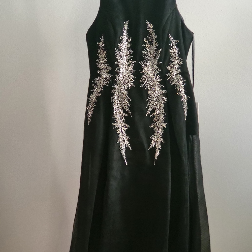 Elegant Black and Silver Embellished Dress